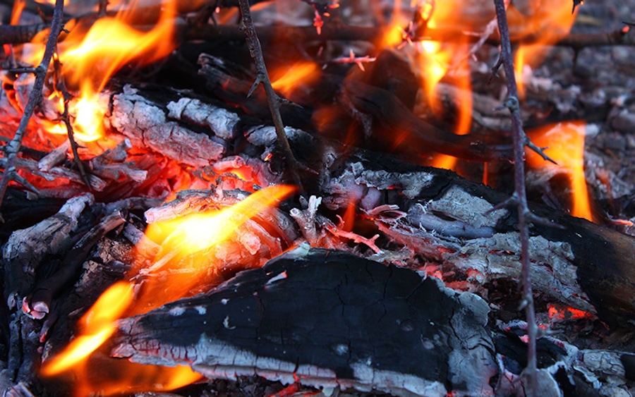 祖先的火生产:对当代史前饮食形象的影响